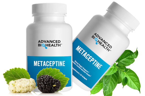 Metaceptine: An Overview of This Nootropic Supplement